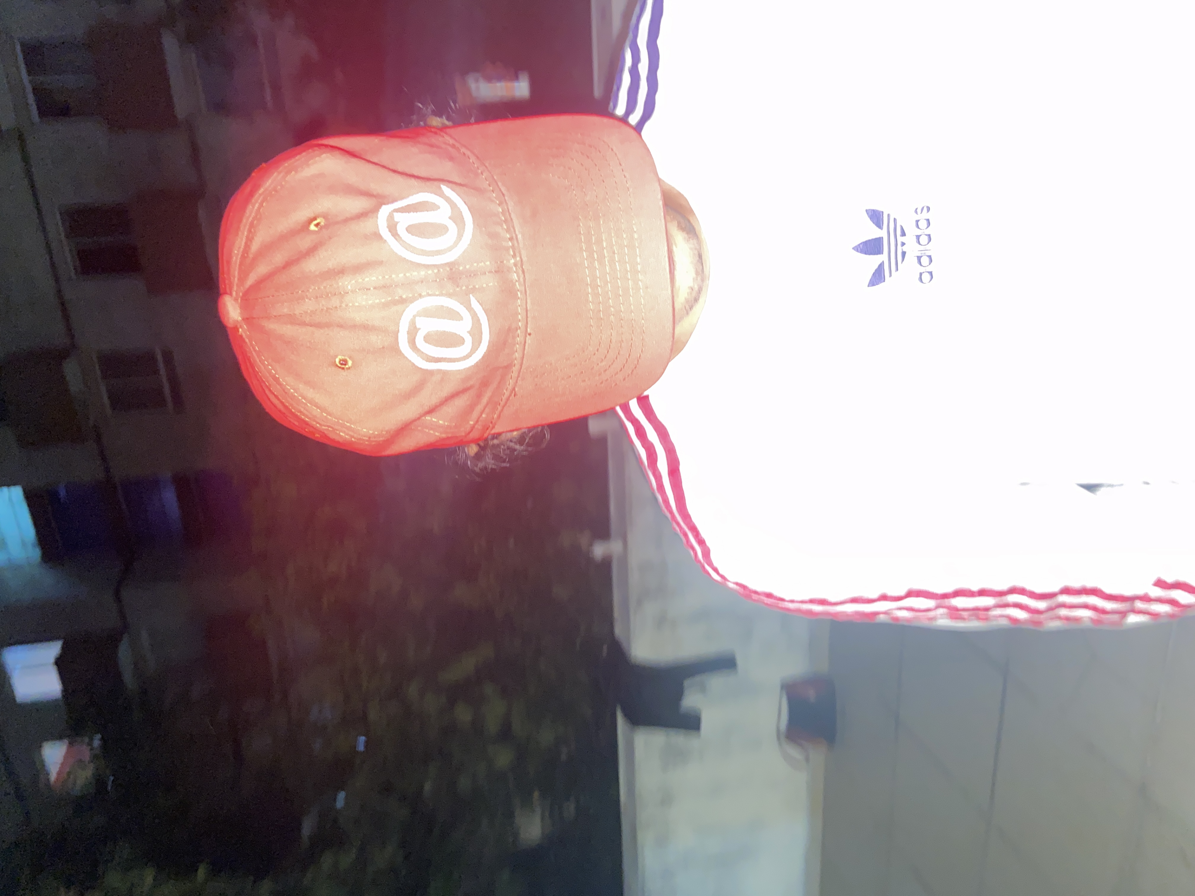 Proyecto 2